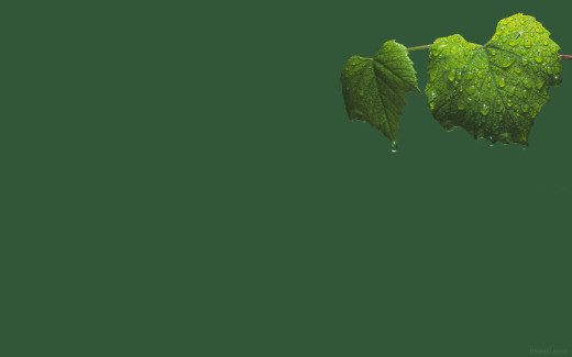 504523 (a): :1440x900